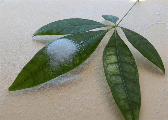 Ein guter Preis. Hochhafte, in Alkoholen lösliche feste Acrylharze für Tinte Online