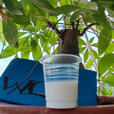 Ein guter Preis. Hochglänzende Wasserbasierte Epoxydemulsion für Metall- und Bodenfarben Online