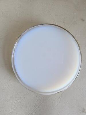 Qualität Styrol-Acrylat-Emulsion mit überlegener Salzsprühnebel- und früher Wasserbeständigkeit Fabrik